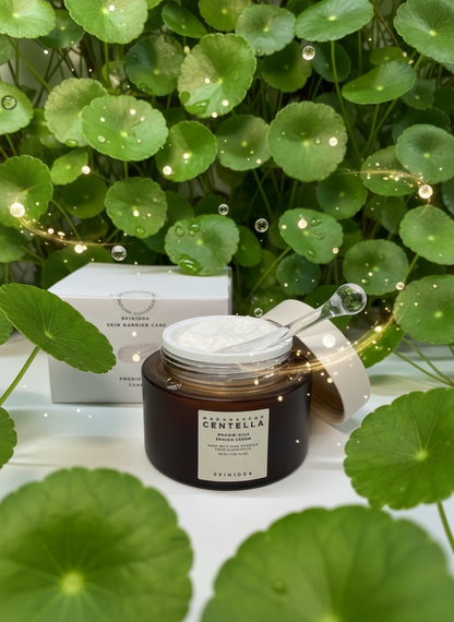 SKIN1004 Madagascar Centella Probio-Cica Enrich Cream 50ml
